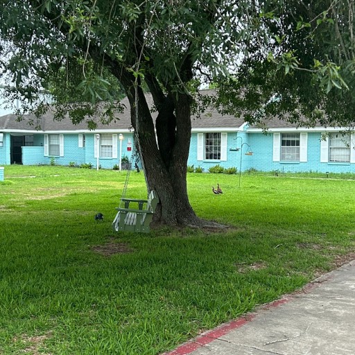 Scenic front yard with mature tree and swing at 1010 Delasandri Lane